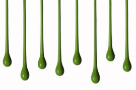peinture-ecologique-verte