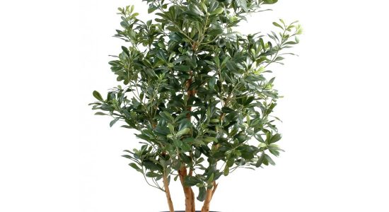 plante-artificielle-exterieur