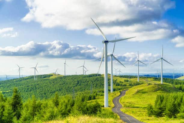 Champ d'éolienne