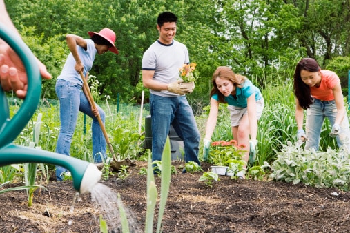 Jardin : et si vous limitiez votre consommation d&rsquo;eau ?