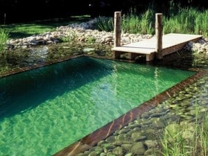 piscine ecologique