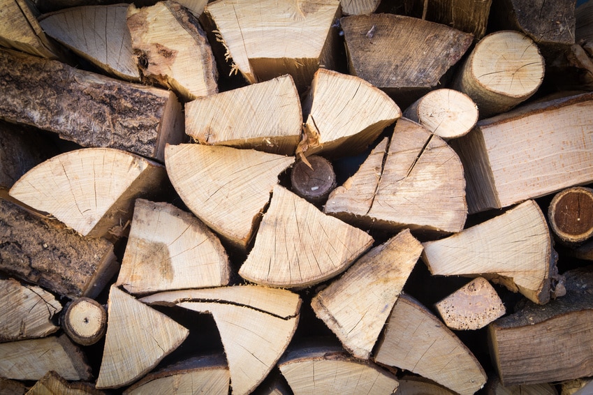 Le bois de chauffage : écologique et économique ?