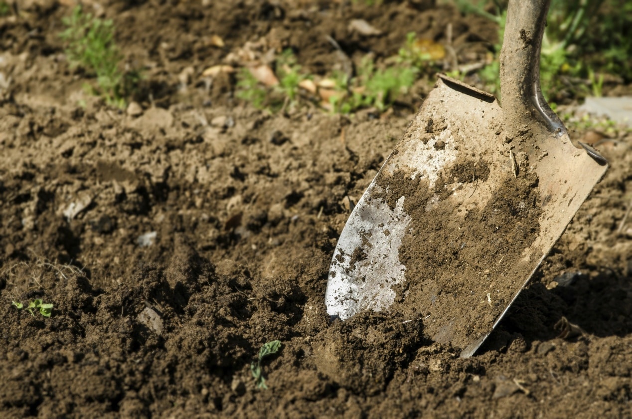 Jardin : utilisez des engrais et terreaux biologiques