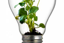 electricite-ecoresponsable