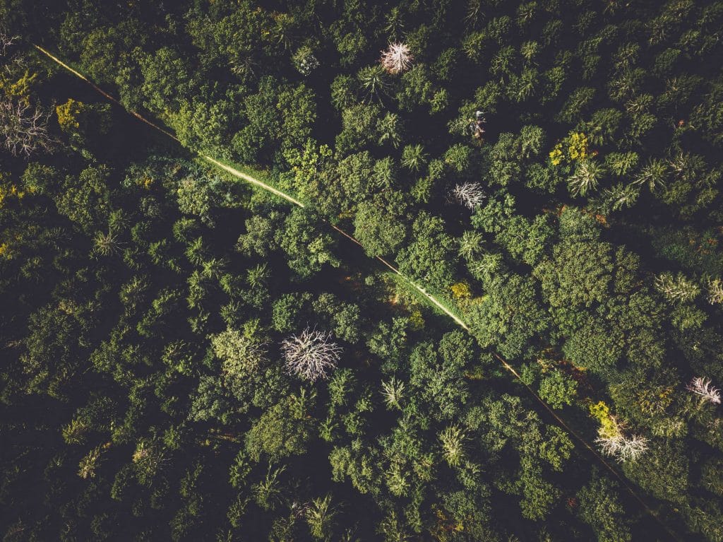 Que sont réellement les énergies vertes ?