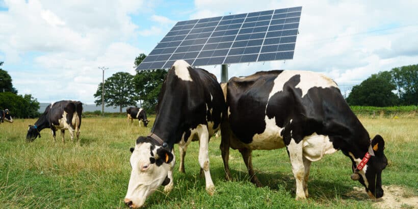 Tracker solaire Okwind